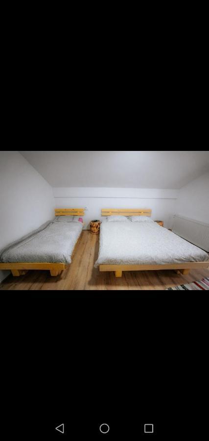 Casa Pietrosu Rodnei 호텔 Borşa 외부 사진