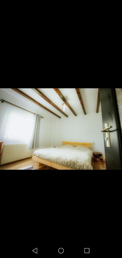 Casa Pietrosu Rodnei 호텔 Borşa 외부 사진