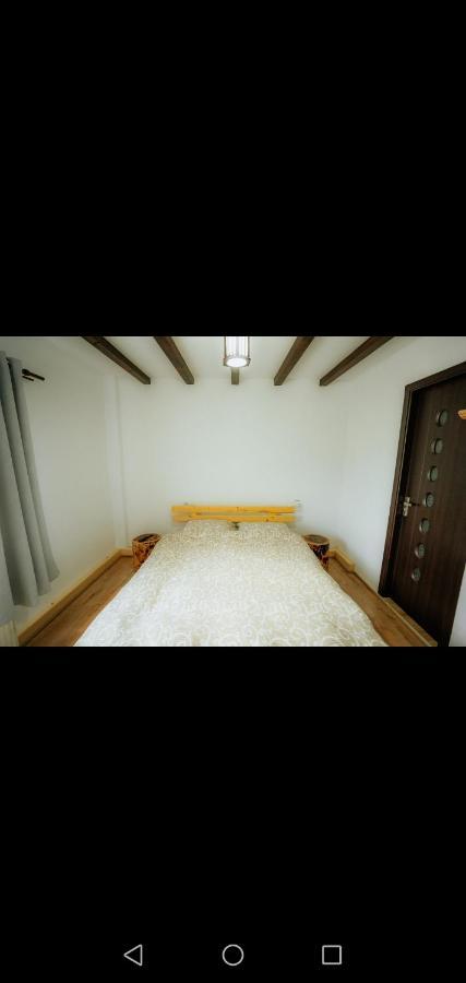 Casa Pietrosu Rodnei 호텔 Borşa 외부 사진