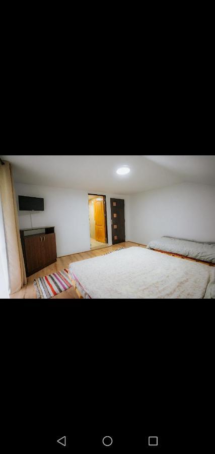 Casa Pietrosu Rodnei 호텔 Borşa 외부 사진