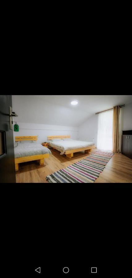 Casa Pietrosu Rodnei 호텔 Borşa 외부 사진