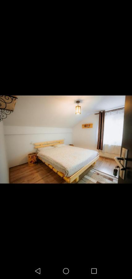 Casa Pietrosu Rodnei 호텔 Borşa 외부 사진