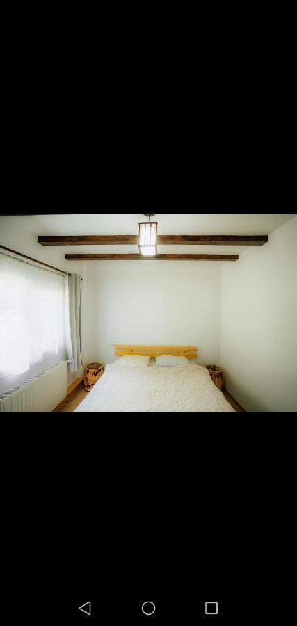 Casa Pietrosu Rodnei 호텔 Borşa 외부 사진