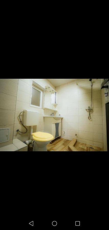 Casa Pietrosu Rodnei 호텔 Borşa 외부 사진