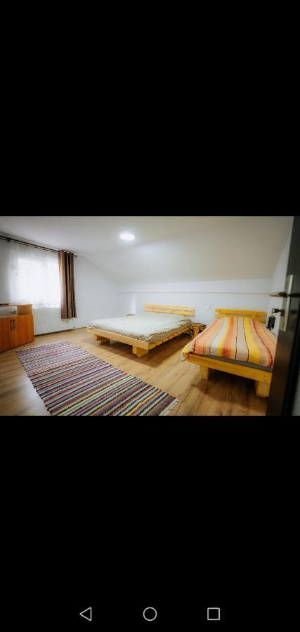 Casa Pietrosu Rodnei 호텔 Borşa 외부 사진