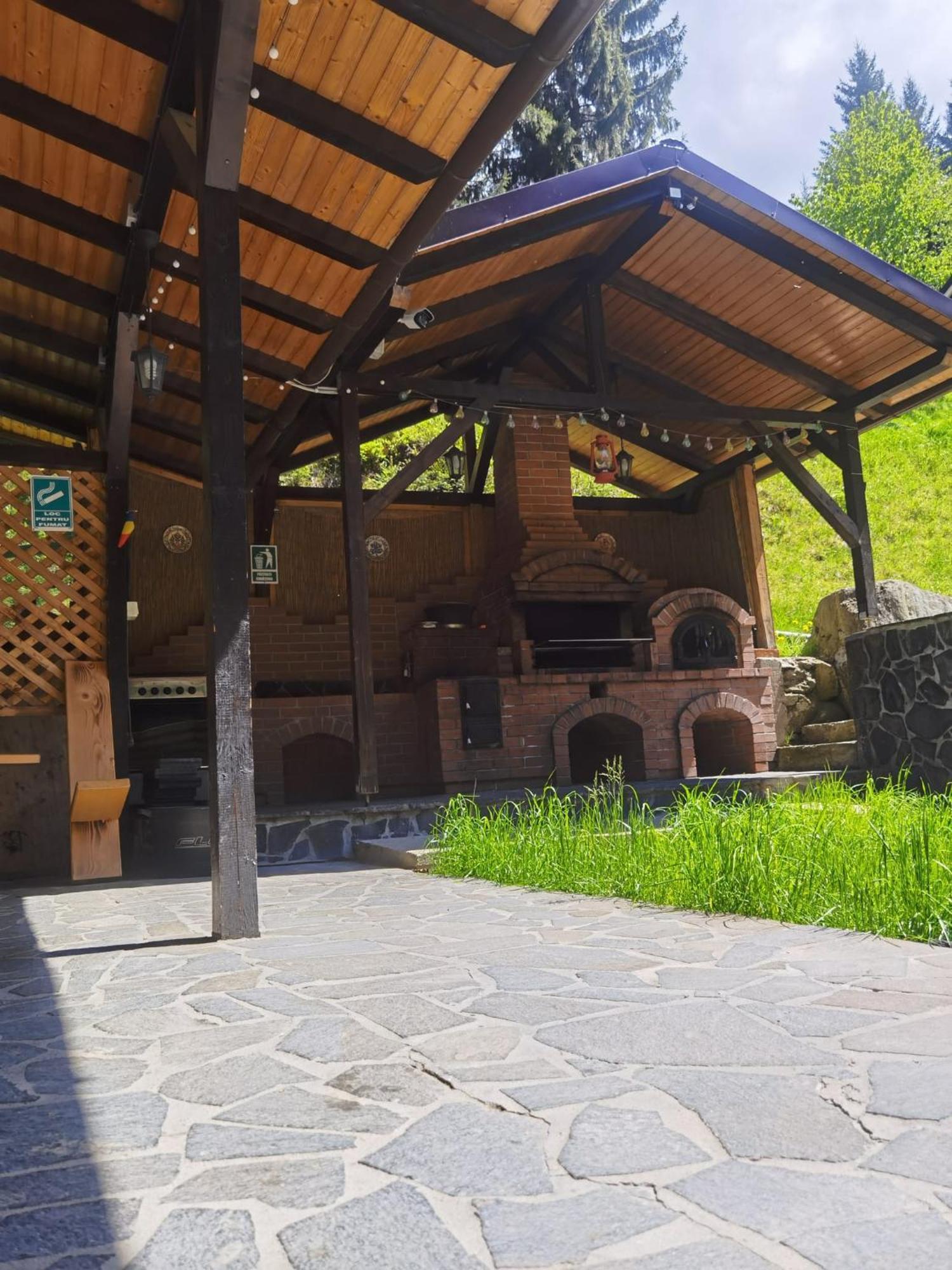 Casa Pietrosu Rodnei 호텔 Borşa 외부 사진