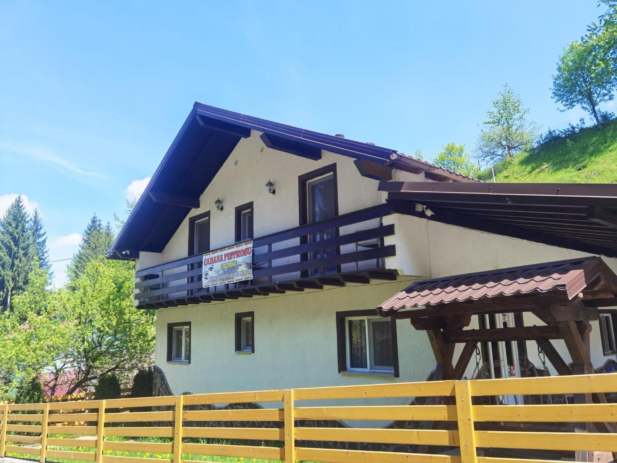Casa Pietrosu Rodnei 호텔 Borşa 외부 사진