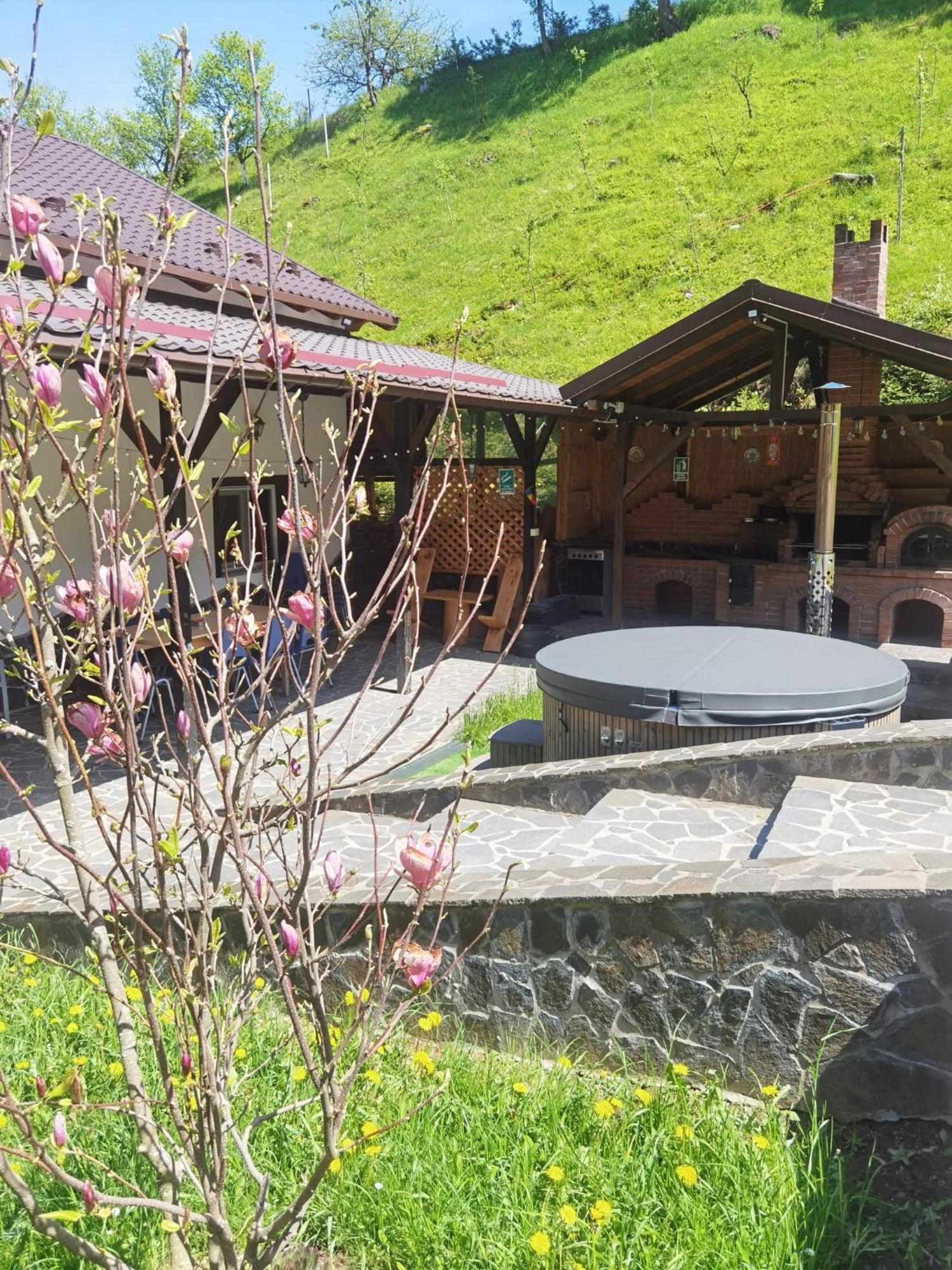 Casa Pietrosu Rodnei 호텔 Borşa 외부 사진